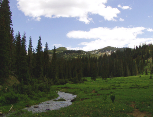 Town of South Fork Parks, Trails & Recreation Master Plan